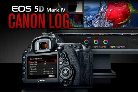 Canon setup