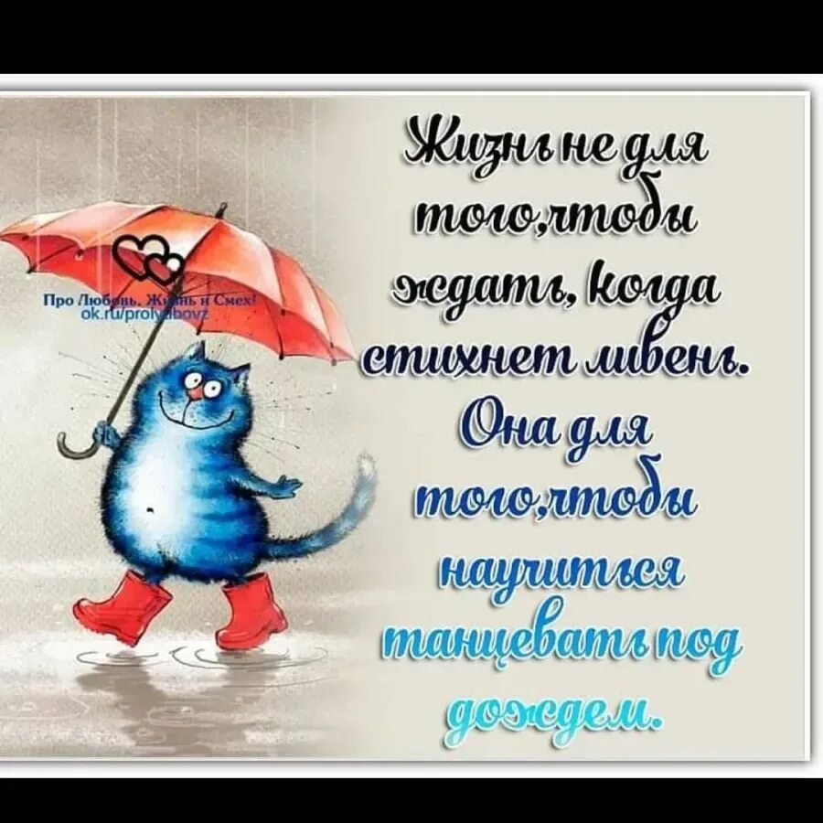 Открытка дождливая погода. Яркого настроения в пасмурный день. Пожелания в дождливую погоду. Хорошего настроения в дождливую погоду. Приятные пожелания в дождливый день.