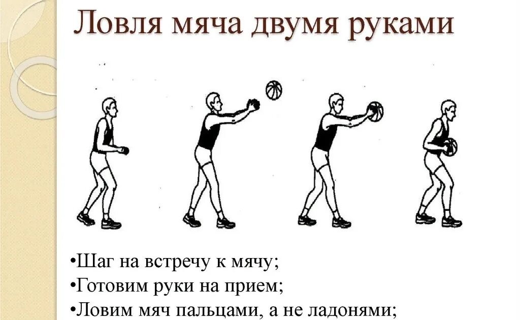 1 ловля мяча. Подбрасывание и ловля мяча. Бросание мяча двумя руками. Броска и ловля мяча. Ловля и передача мяча двумя руками.