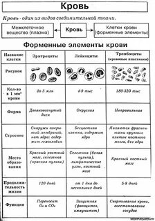 Биология 8 класс схемы