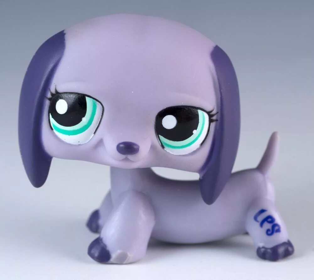 Ис пет. Лпс такса голубая. LPS фиолетовая такса. Littlest Pet shop такса. Лпс голубая кошка.