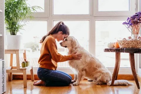 I ve decided a dog home