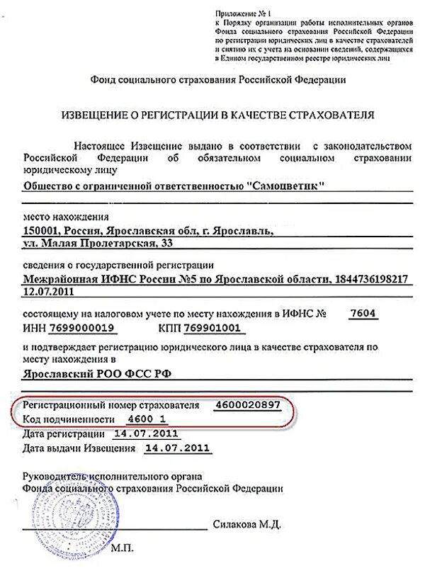 Социальный фонд по месту регистрации. Свидетельство о постановке в фсс. Выплаты в фонд соц. Заявление о регистрации юридического лица образец. Уведомление о постановке на учет индивидуального предпринимателя.