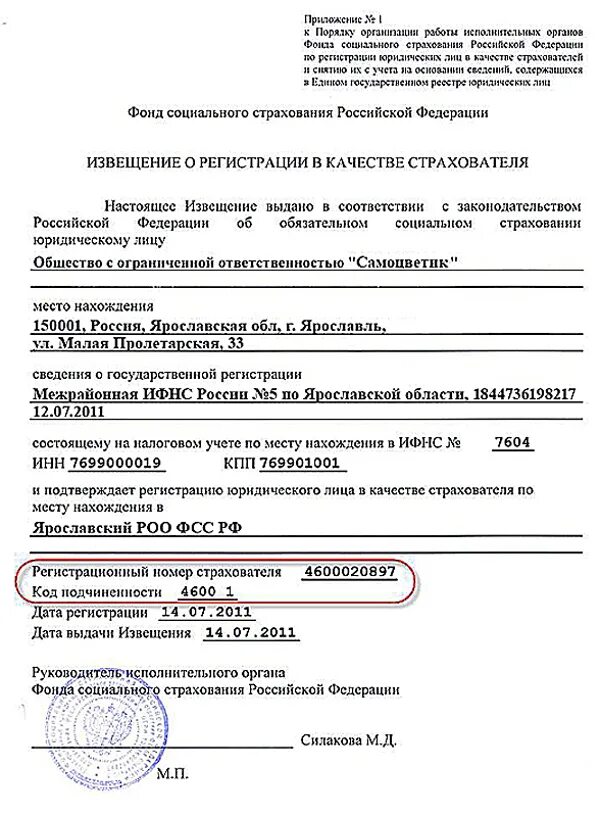 Фонд пенсионного и социального страхования номер. Извещение о регистрации в качестве страхователя (ФСС). Извещение о регистрации в качестве страхователя в ФСС юл. Уведомление о регистрации в качестве страхователя юридического лица. Заявление о регистрации страхователя.