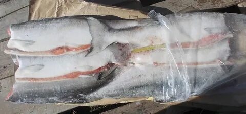 Кета рыба мороженная