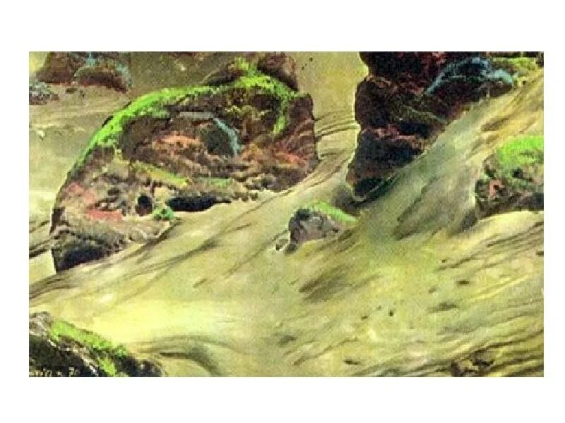 Протерозойские горы россии. Протерозойская Эра. Протерозойская Эра (протерозой) водоросли. Протерозойская Эра 1 млрд лет назад. Протерозойская Эра сине-зеленые водоросли.