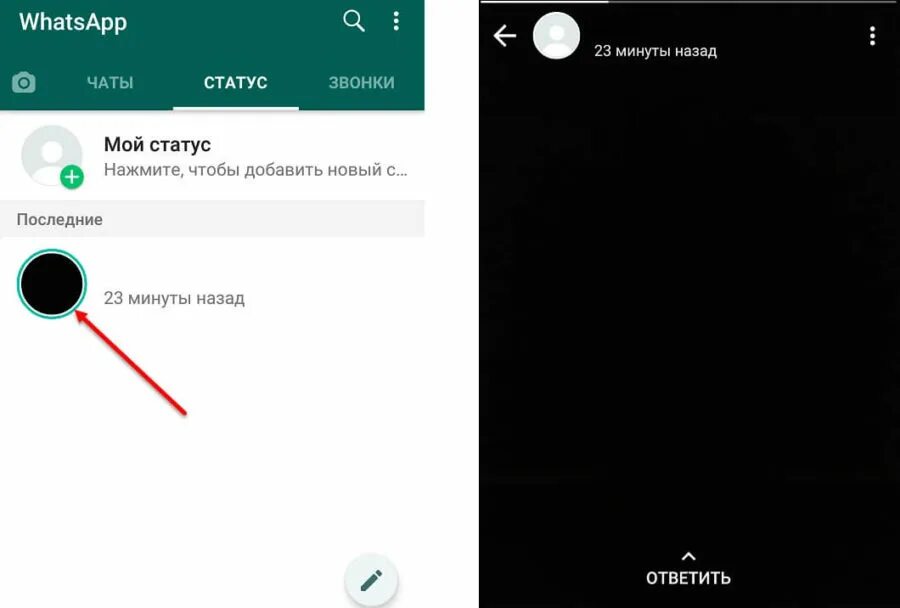 Как в статус ватсап вставить видео. Статусы для арми в ватсап.