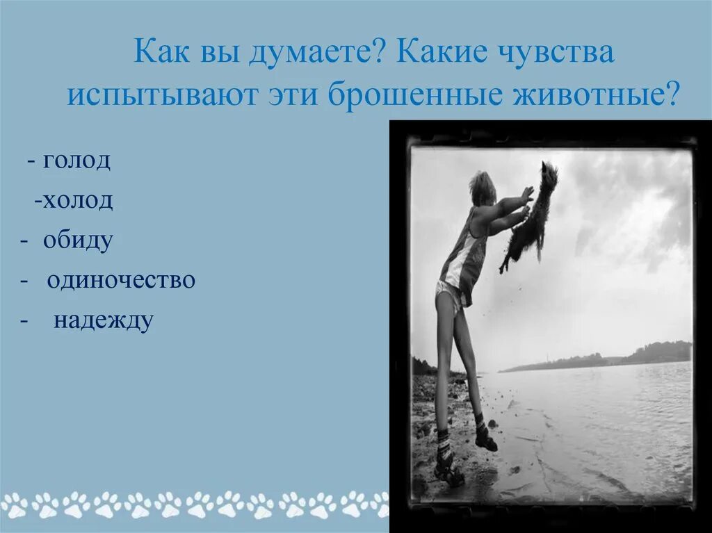 Надеюсь какое время. Какие чувства испытывает. Какие чувства не испытывают животные. Уединение и голодание.