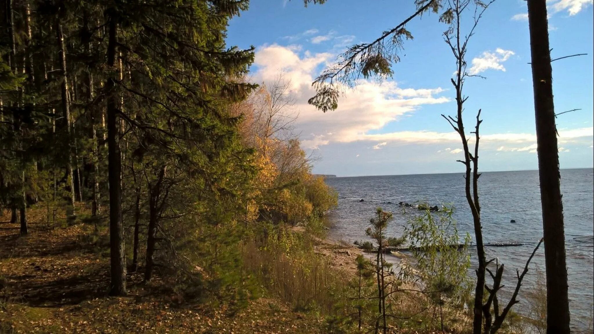 Горьковское водохранилище Горьковское море. Горьковское море Заволжье. Горьковское водохранилище Сосновый Бор. Горьковское водохранилище Заволжье.