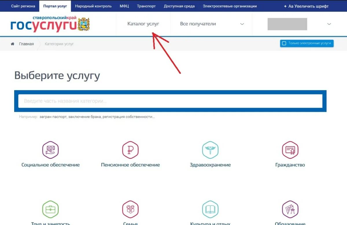 Как оформить опекунство через госуслуги