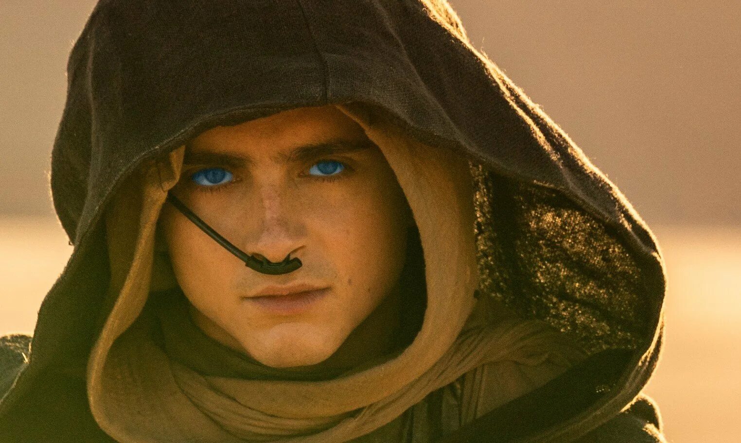 Dune part 2. Dune part 2