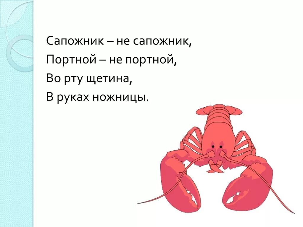 Загадка про Рачков. Не сапожник не портной носит ножницы с собой ответ на загадку. Загадка про сапожника. Отгадка к загадке не сапожник не портной носит ножницы с собой. Стихи про раков