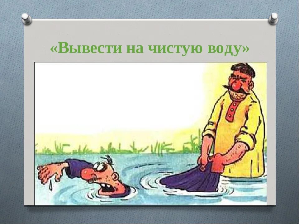 Фразеологизм вывести на чистую воду. Фразеологизм выводить на чистую воду. Вывести на чистую воду картинка к фразеологизму. Чистой воды фразеологизм.