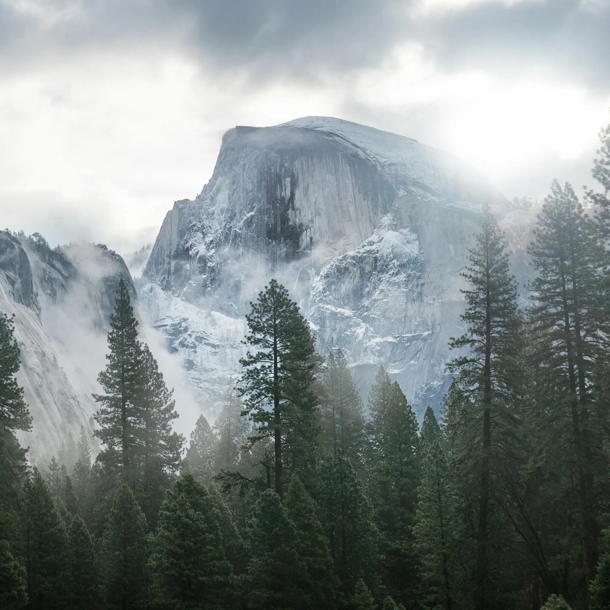 Йосемити парк деревья. Национальный парк Йосемити в тумане. Йосемити (2015). Горы с лесом. Лес горы слились все