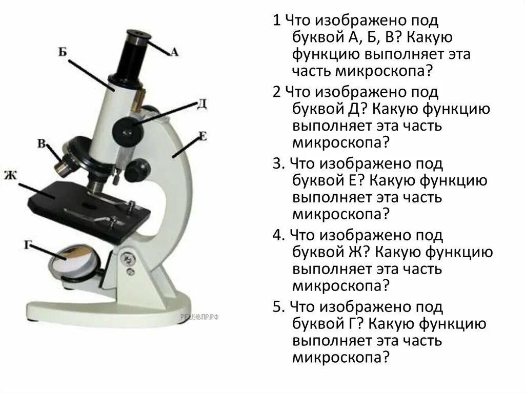 Световой микроскоп строение. Детали цифрового микроскопа 5 класс биология. Цифровой микроскоп строение 5 класс. Строение цифрового микроскопа 5 класс биология.