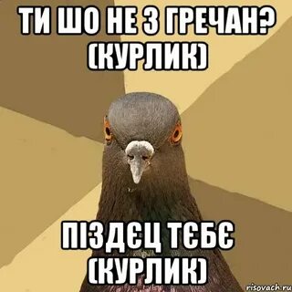 Она не з
