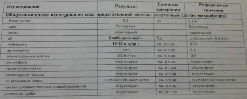 Лейкоциты в простате. Исследование секрета предстательной железы норма. анализ секрета простаты норма. исследование секрета предстательной железы лейкоциты норма. исследование сока простаты норма и отклонение.