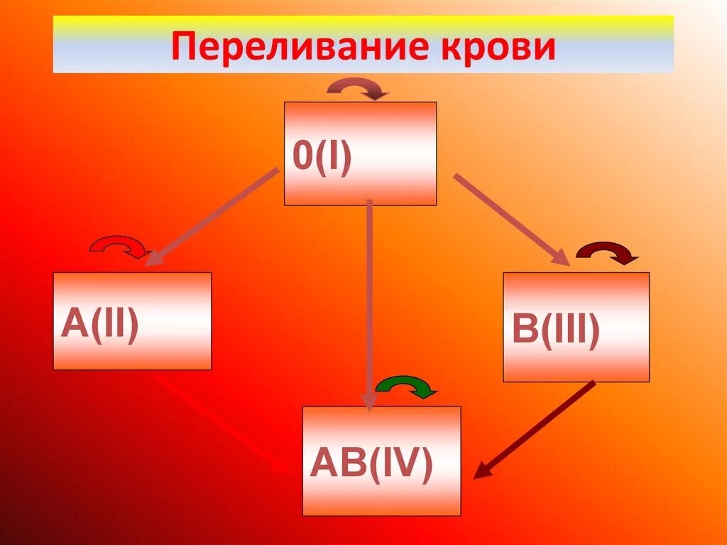 Процесс переливания крови. Переливание крови коротко. Переливание крови детям. Гемотрансфузия группа крови