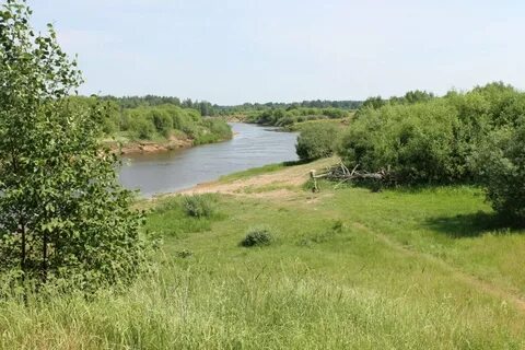 Погода в староустье