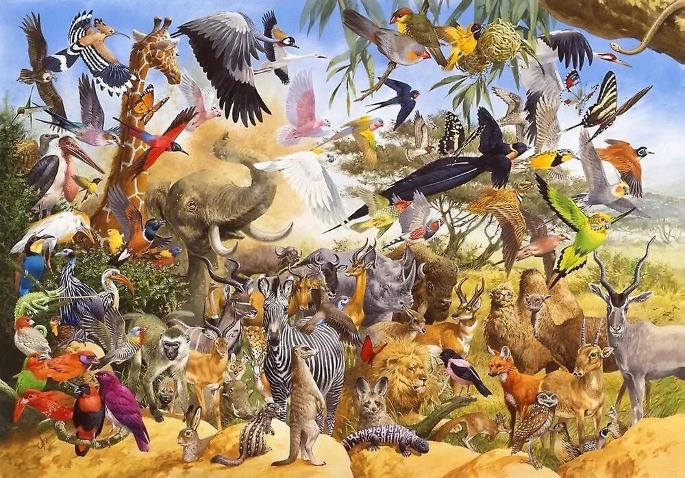 Животные на материках. Животных представителей разных миров. Животные дальнего востока. Животных представителей разных миров. Животные на прозрачном фоне.