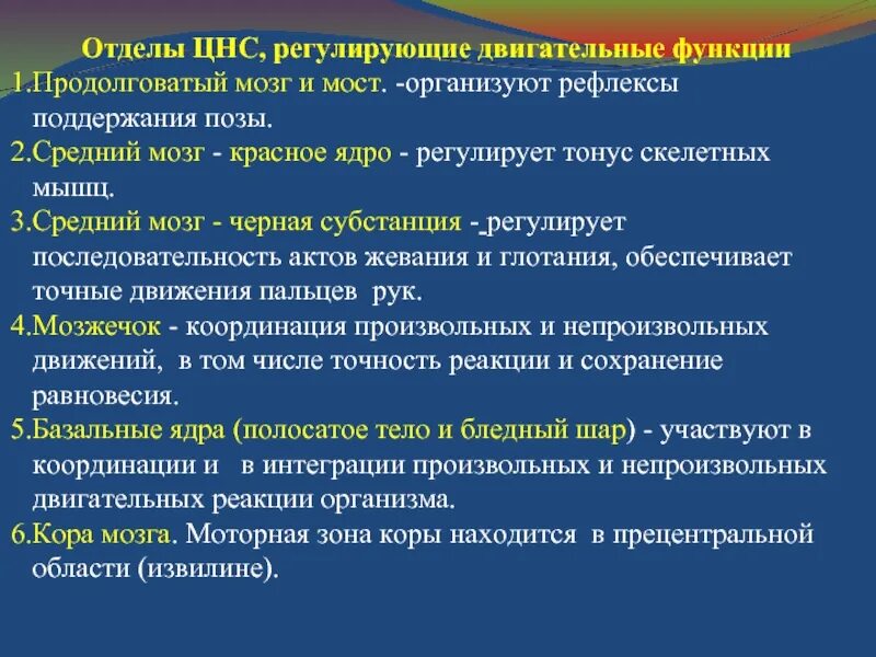 Отделы ЦНС. Функции ЦНС. Функции отделов ЦНС таблица. Регулирует мышечный тонус отдел мозга.