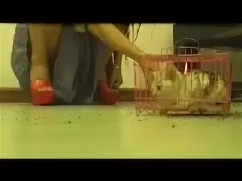 1 webm
