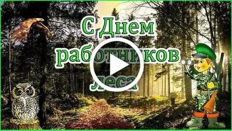 День лесника усть илимск