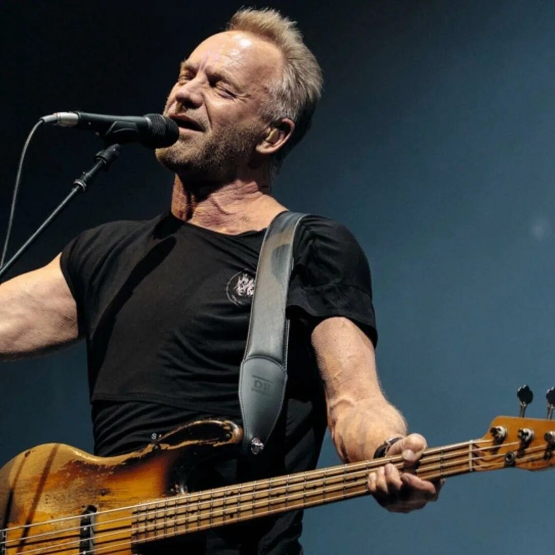 Стинг сейчас. Стинг лучшее. Стинг. Стинг хиты. Стинг сейчас.