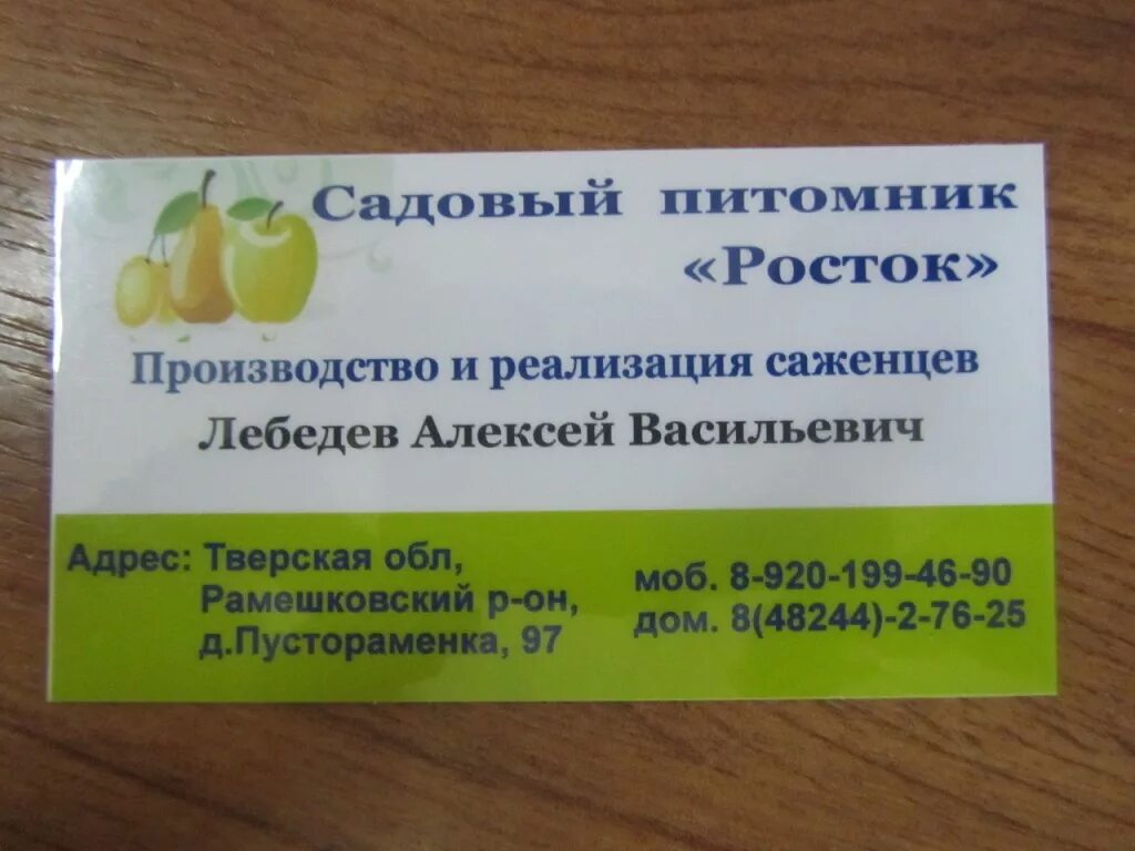 Челябинская область питомник росток. Росток питомник интернет. Питомник росток челябинск. Росток питомник интернет. Росток питомник интернет.