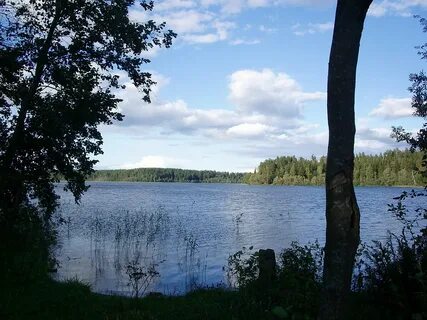 Новгородское озеро