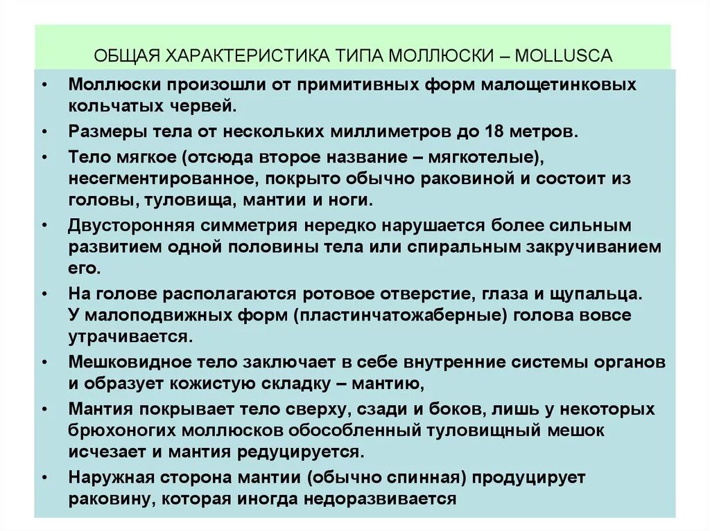 Общая характеристика классы моллюсков. Характеристика типа моллюски 7 класс биология. Общая характеристика моллюсков. Бщая характеристика типа моллюски". Общая характеристика молюск.