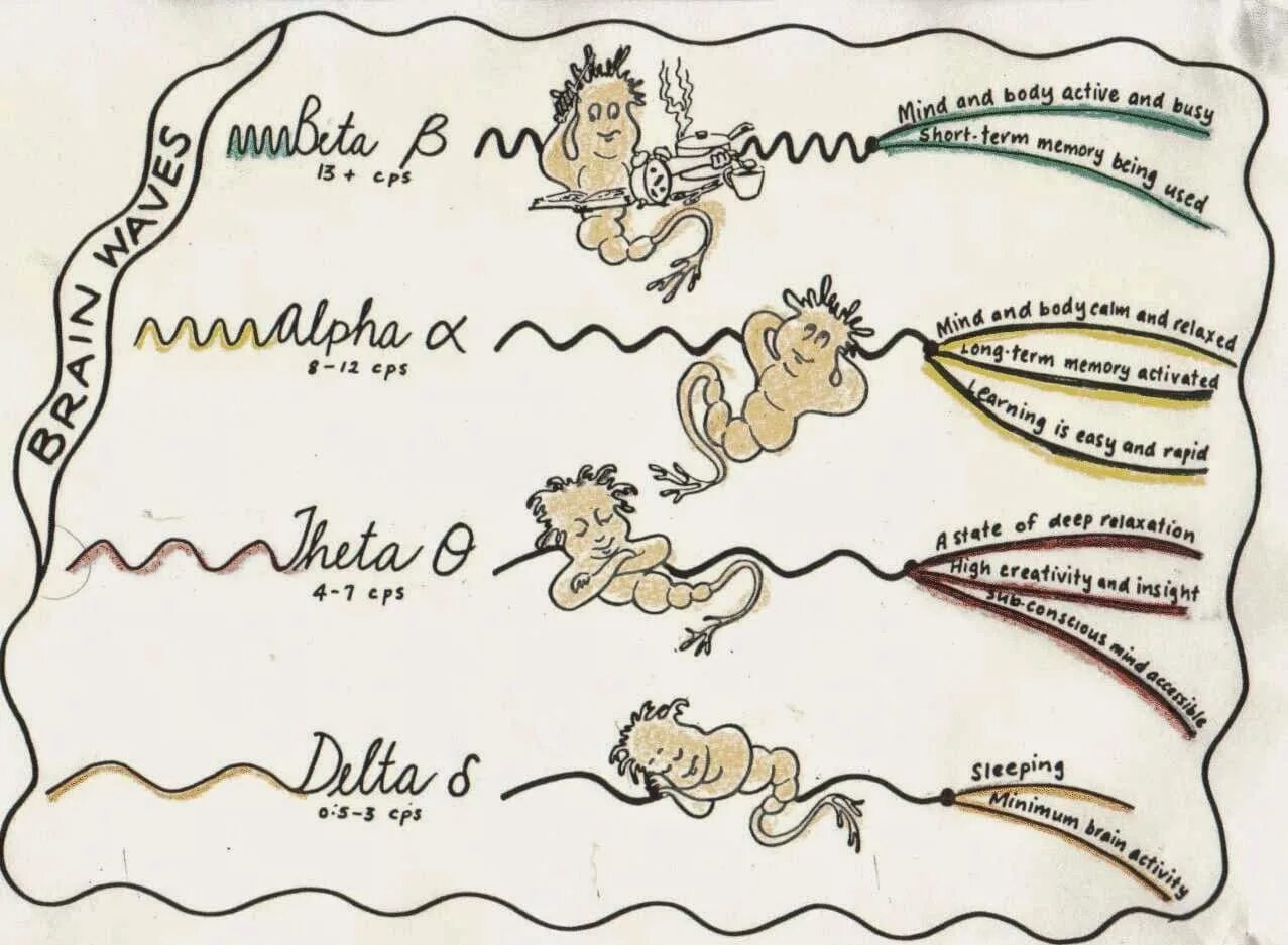 Мозг альфа бета. Альфа бета тета волны. Волны мозга Альфа бета тета. Волны бета Альфа тета частоты. Альфа бета гамма Дельта волны мозга.