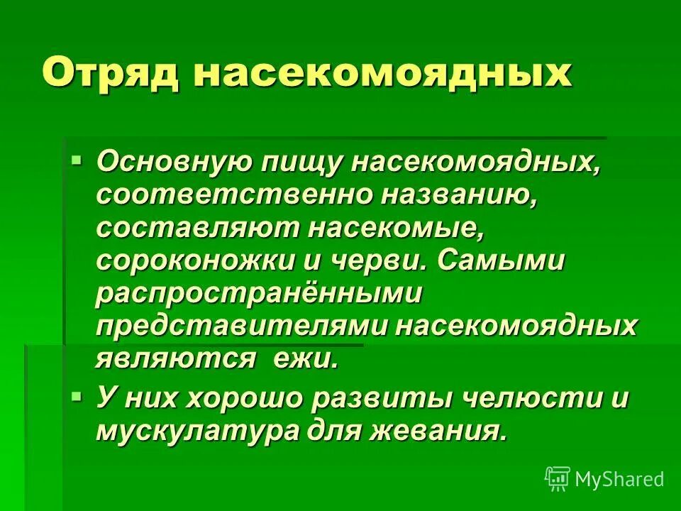 Общая характеристика насекомоядных. Отряд Насекомоядные общая характеристика. Признаки отряда Насекомоядные.