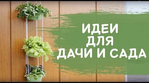 Сад мыслей
