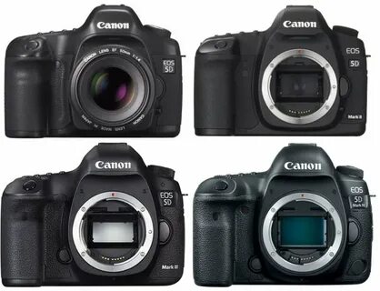 Canon mark r6