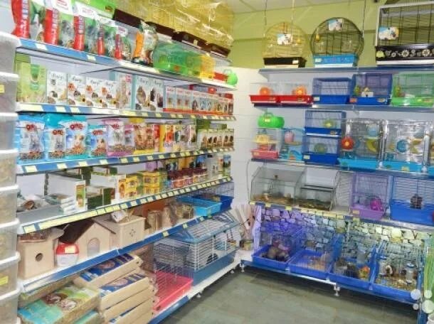 Зоомагазин 42. Белая акула зоомагазин в ростове на дону. зоомагазин. зоомагазин аксай. акула зоомагазин.