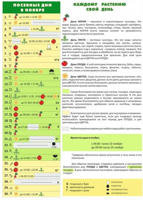 Лунный календарь плодовых деревьев. Календарь марии тун. удачные дни для посадки деревьев. благоприятные дни для посадки фруктовых деревьев. посевные. дни. в. апреле. цветы.
