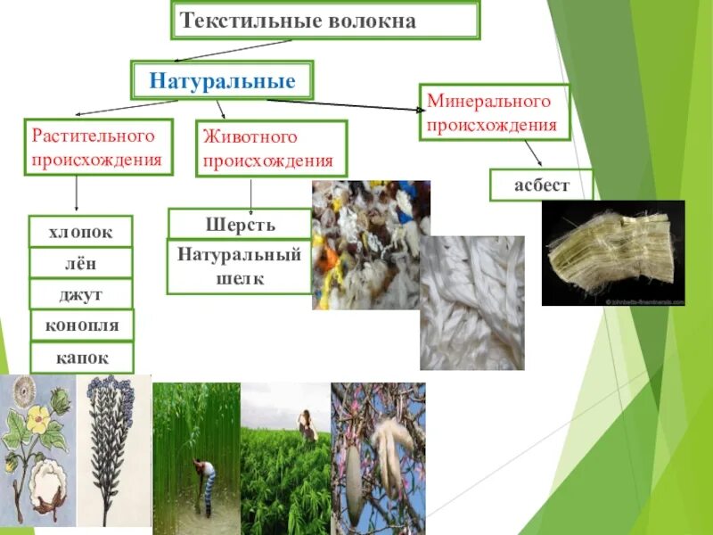 Натуральные волокна животного происхождения. Текстильные ткани натуральные волокна. Натуральные ткани растительного происхождения. Ткани из натуральных волокон растительного происхождения.