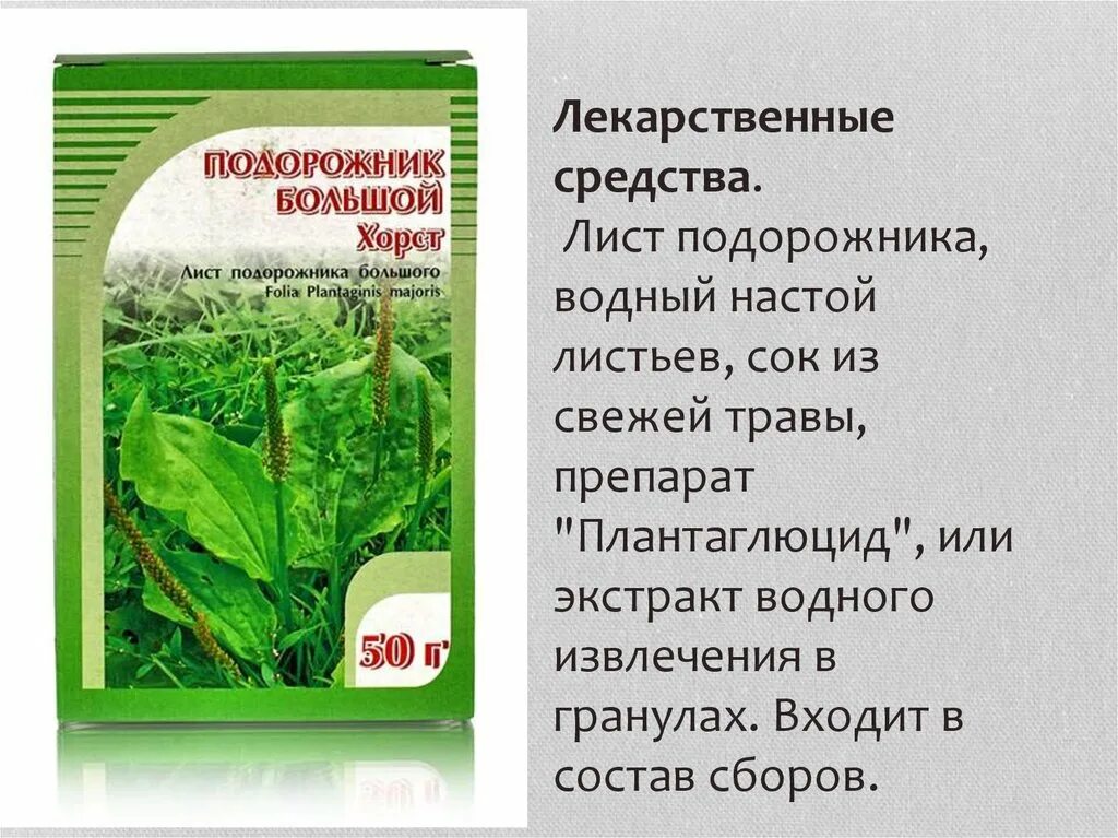 Сок подорожника Плантаглюцид. Подорожник лекарственный препарат. Подорожник для желудка. Подорожник лекарственные формы. Сбор подорожника