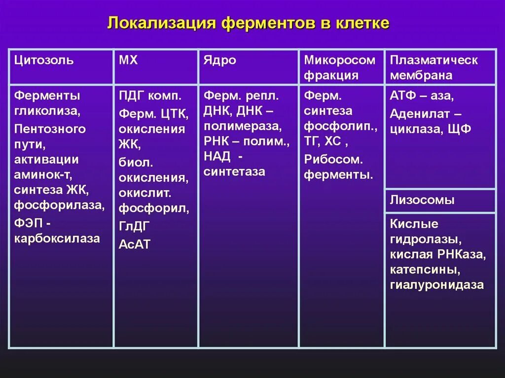 Внутриклеточная локализация ферментов. Внутриклеточная локализация ферментов биохимия. Концентрация ферментов и активность ферментов