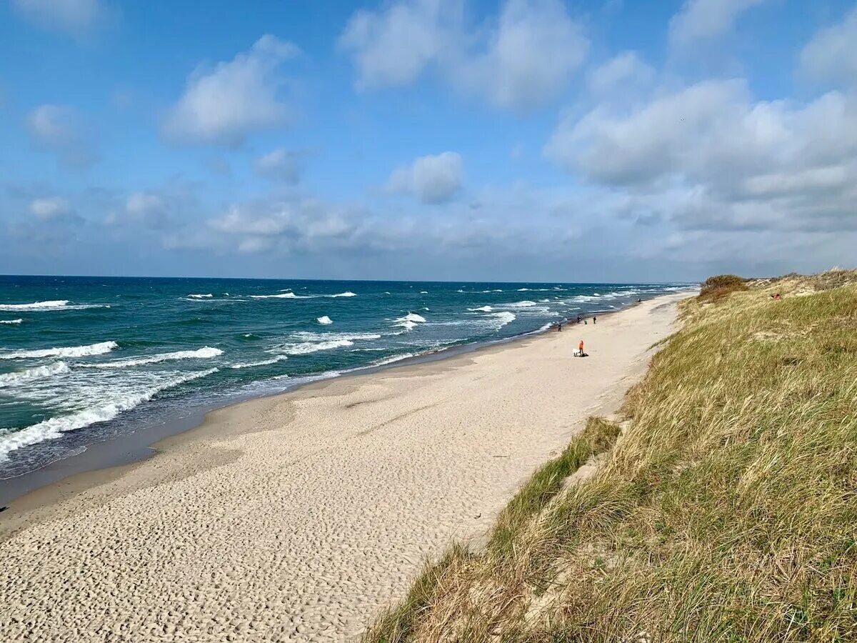 Зеленоградск любуйтесь морем. Куршская коса Калининградская область. Зеленоградск Куршская коса. Калининград море Куршская коса. Калининград - Светлогорск - Янтарный - Куршская коса - Зеленоградск.