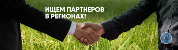 ищу партнера для совместного бизнеса. ищу компаньона для бизнеса. будем рады сотрудничеству. ищу компаньона для бизнеса. ищем партнеров.