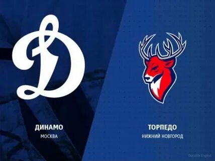 Торпедо нижний новгород динамо прогноз