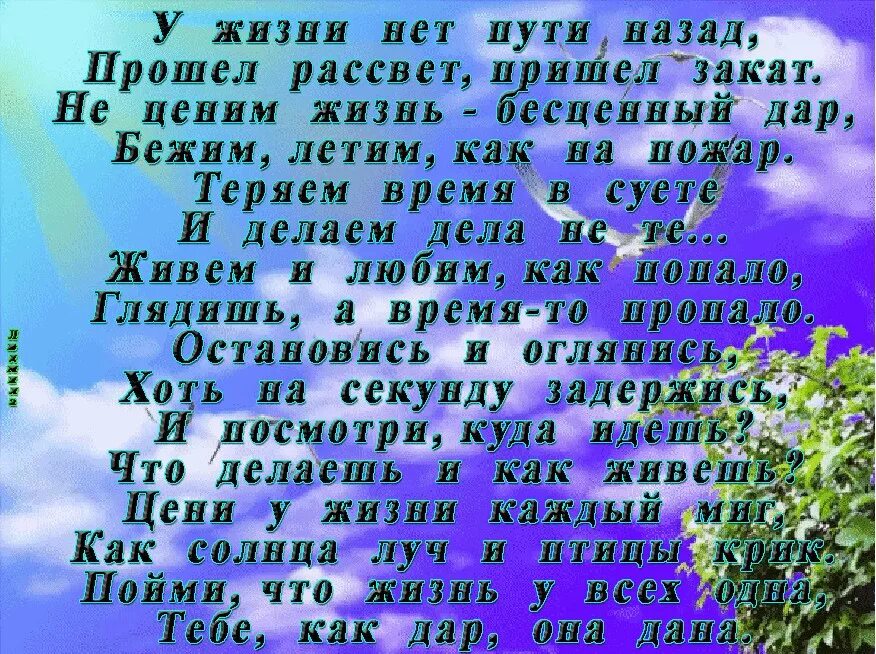 Цените жизнь стихи. У жизни нет пути назад стихи. жизнь бесценный дар. у жизни нет пути назад прошёл рассвет пришел закат. стихи о пути в жизни.