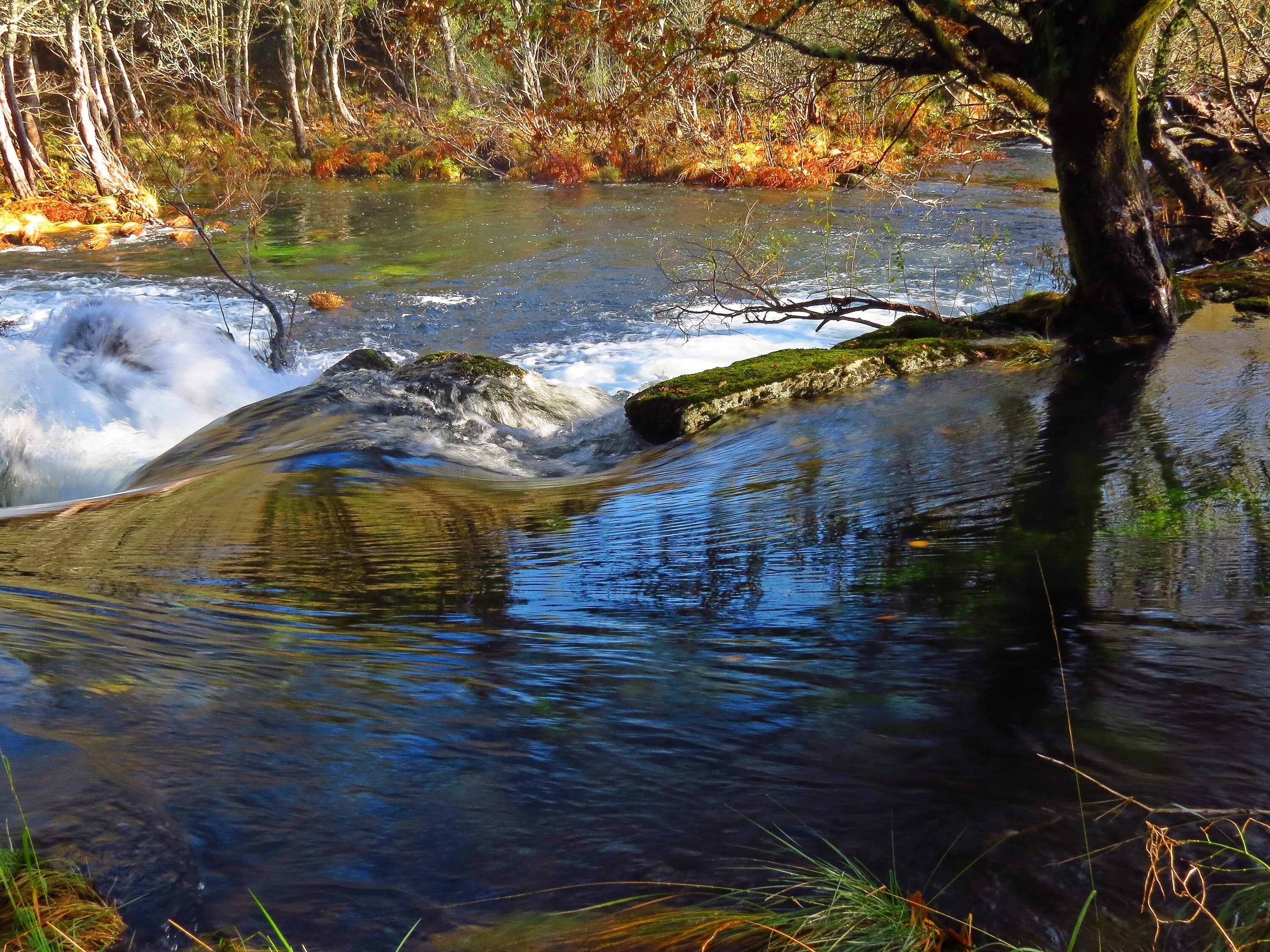 Шум воды ручья. Стрижамент речка водяная. Ручей. На речке. Вода река.