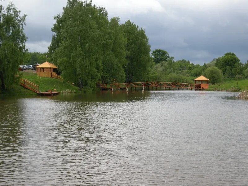 Савино (заокский район). Нижнее гурово курская область пруд. Деревня рыбалки тульская область. Река скнига тульская область. Заокский район деревня свинская пруды.