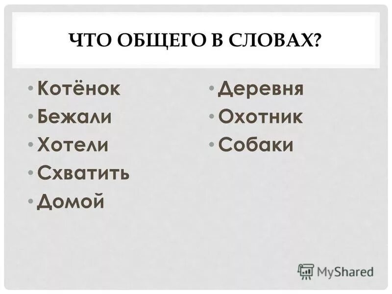 Даны слова котенок