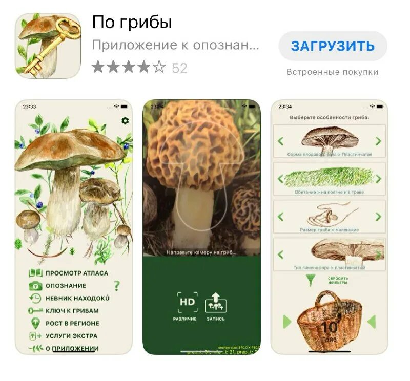 Приложение определяющие грибы. По грибы приложение. Определить грибы приложение. Приложение грибочек. Приложение определяющие грибы.