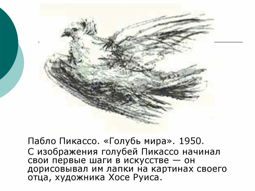 Пабло пикассо изобразил голубку огэ. Пабло пикассо голубь. голубь мира пикассо 1950. голубка пикассо картина. белый голубь пикассо.