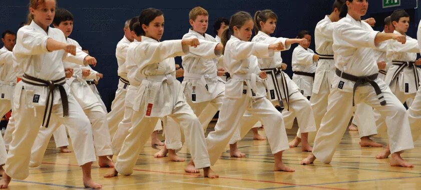 Каратэ группа. Набор в группу каратэ. Группа каратистов. Группа карате. Каратэ на свежем воздухе.